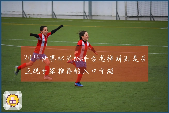 2026世界杯买球平台怎样辨别是否正规专家推荐的入口介绍